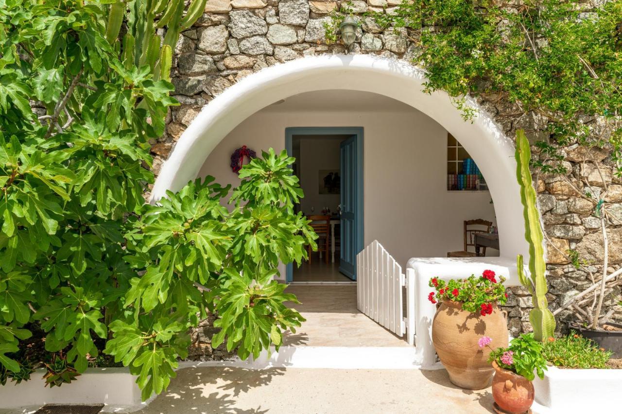 Afroditi Gerani A Ftelia (Mykonos)